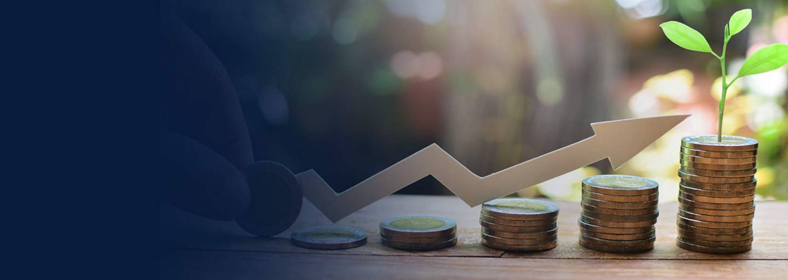 Mutual Funds Industry