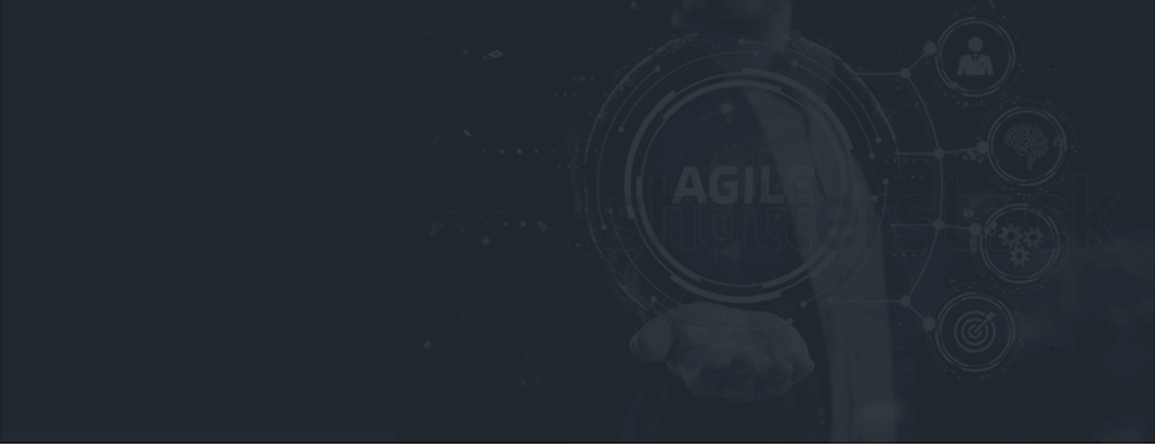 agile bnr
