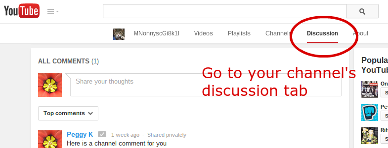 Yt discussion comment 1 edited