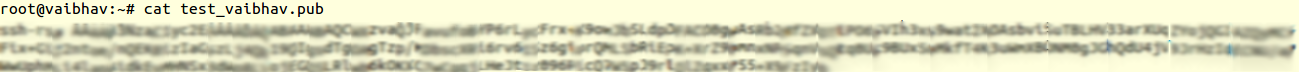 public_ssh_key