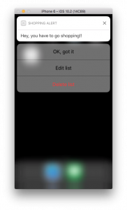 Screen Shot 2017-01-31 at 1.54.04 PM
