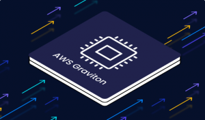 Chip by aws