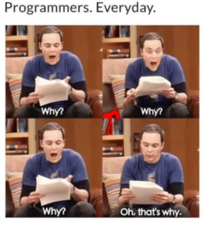 programmers every day