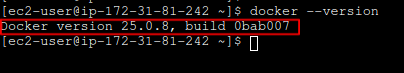 Docker Version