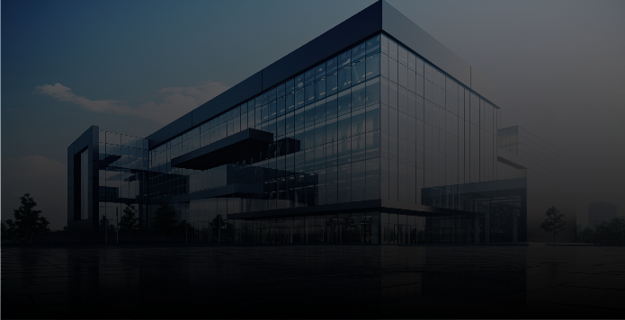 Big 4 Consulting Firm