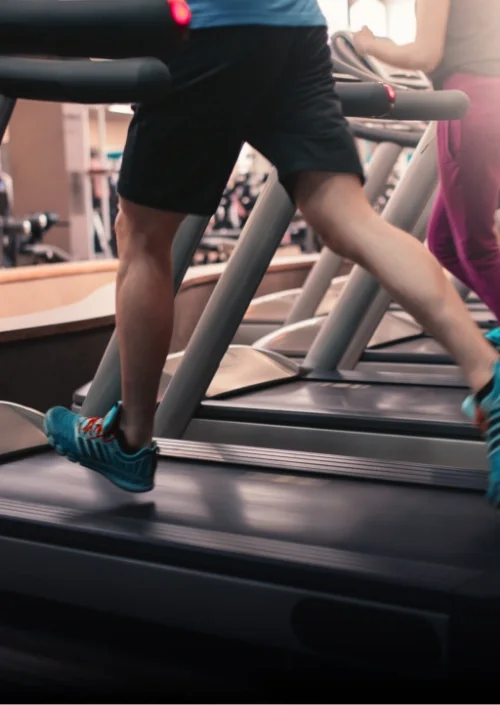 Fitness Fitness