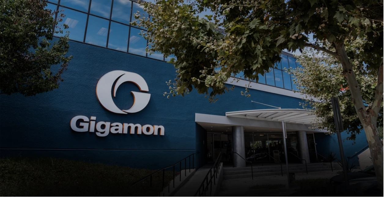 Gigamon Gigamon