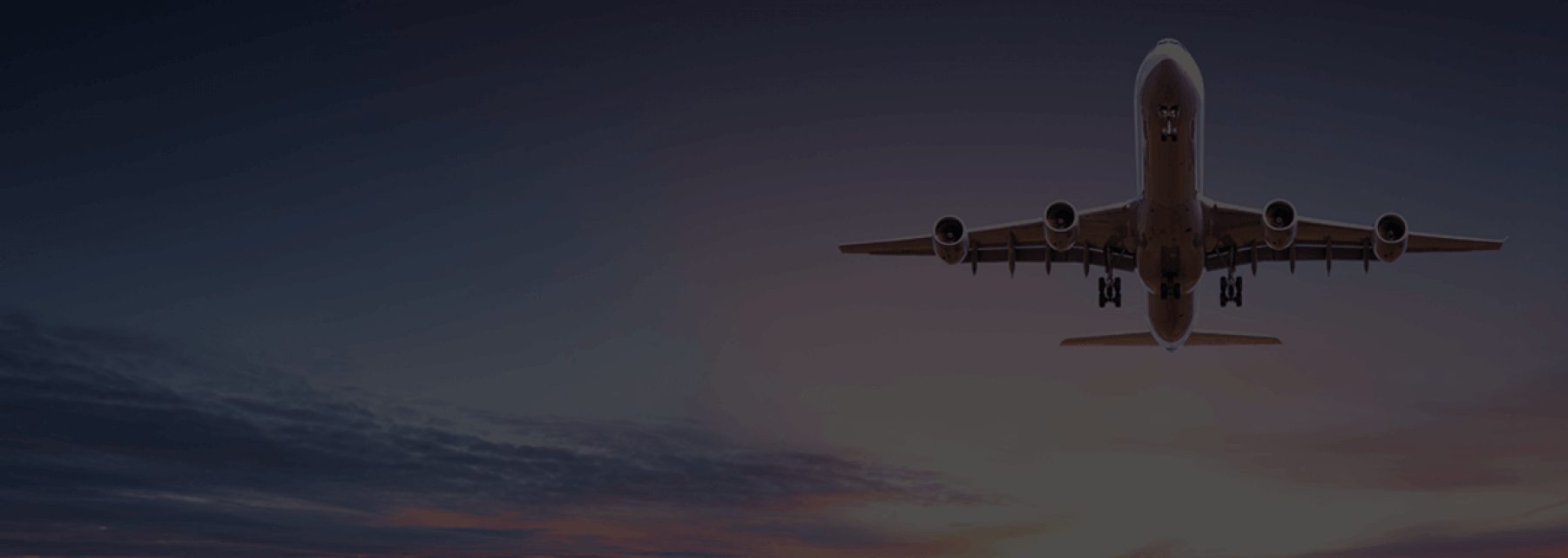 Banner for seera success page