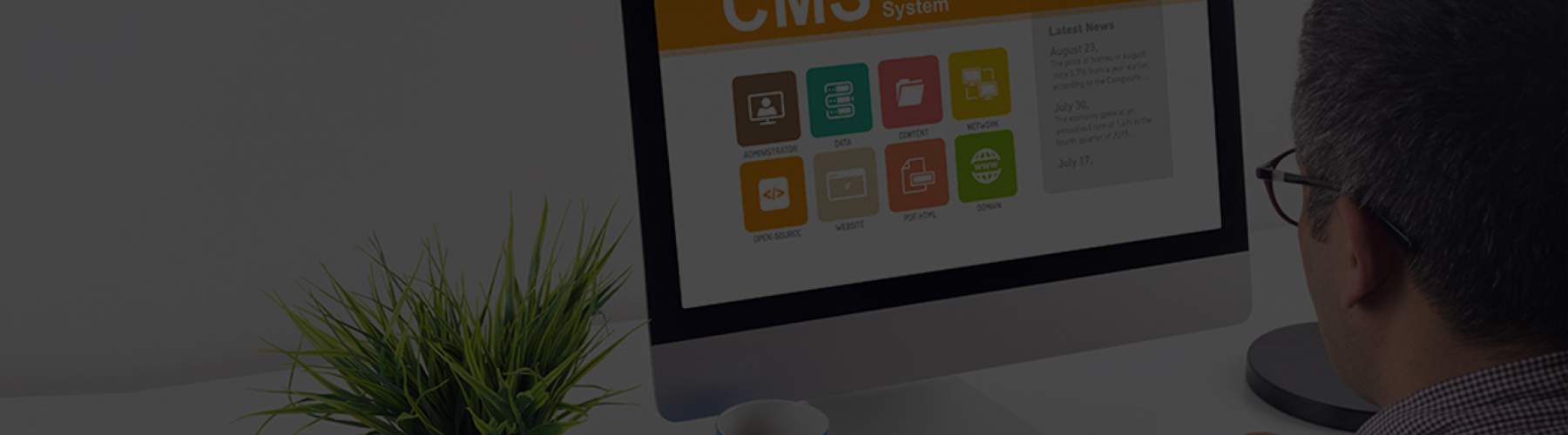 Insights Banner