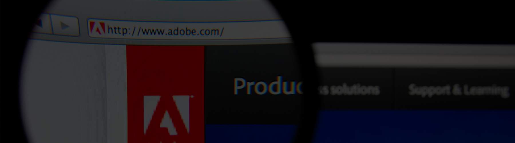 Insights Banner Insights Banner