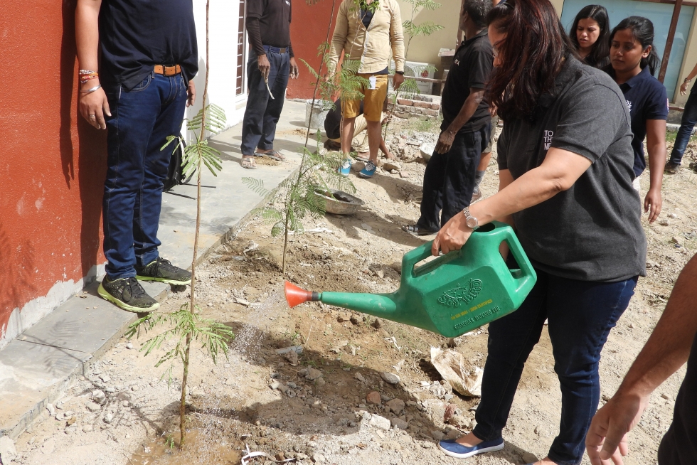 Tree Plantation Drive by Pahal