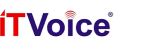 it voice it voice